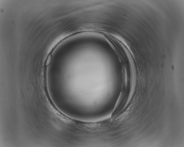 X0000070191147200605261151