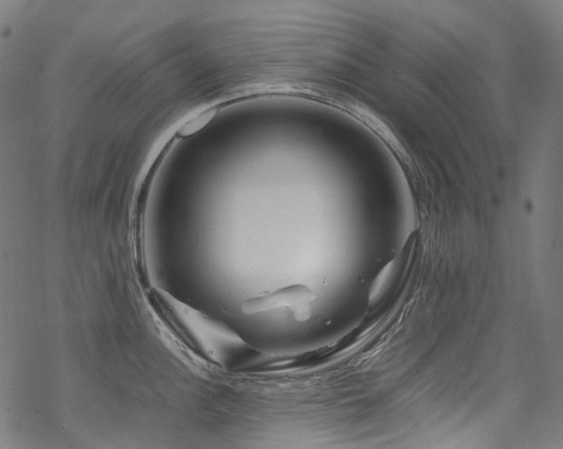 X0000070191148200605261151