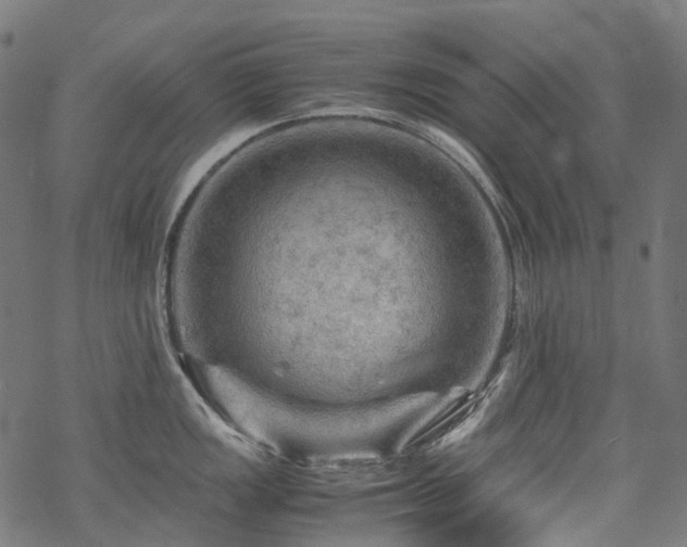 X0000070191149200605261151