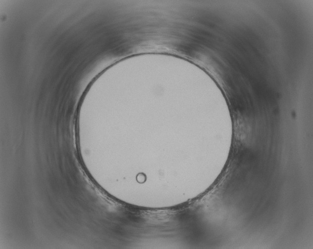 X0000070191150200605261151