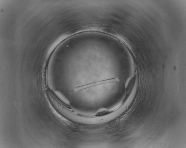 X0000070191151200605261151