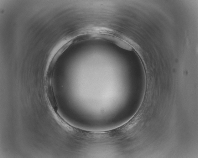 X0000070191152200605261151