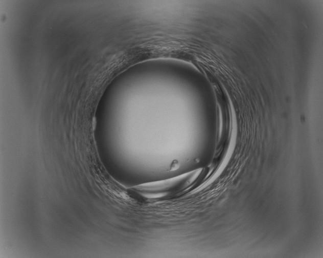 X0000070191153200605261150