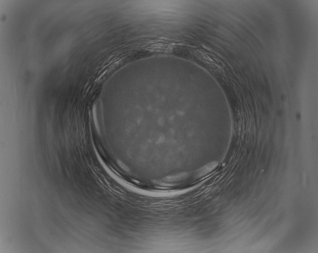 X0000070191154200605261150