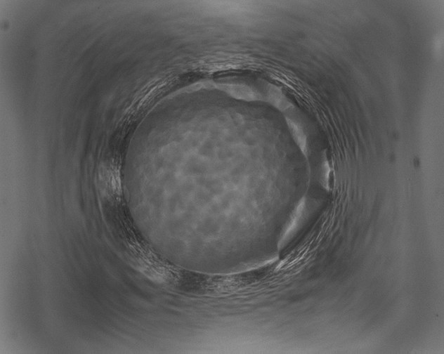 X0000070191155200605261150