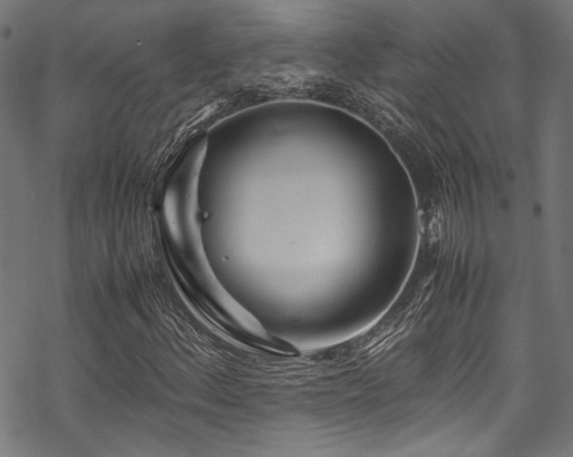 X0000070191156200605261150