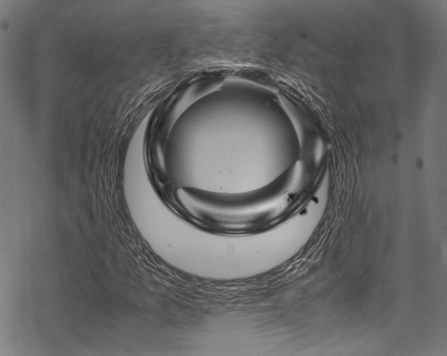 X0000070191157200605261150