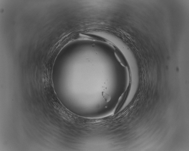 X0000070191158200605261150