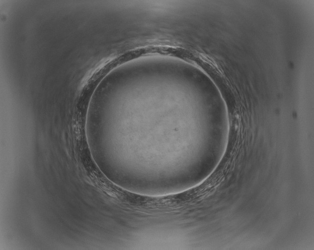 X0000070191159200605261150