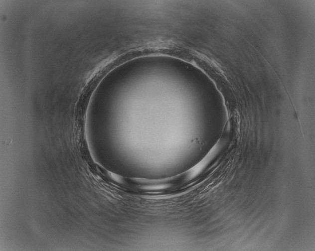 X0000070191160200605261150