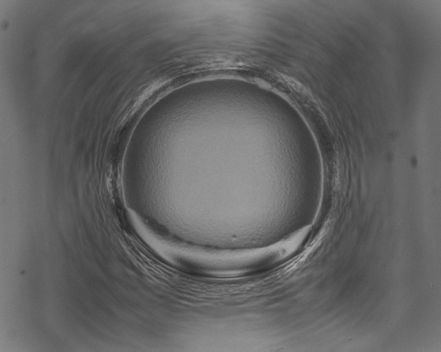 X0000070191161200605261150