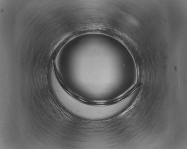 X0000070191162200605261150