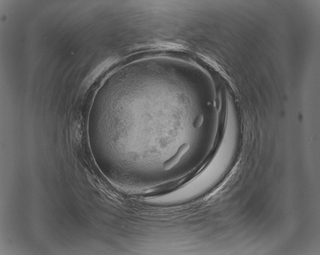 X0000070191163200605261150