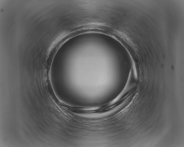 X0000070191164200605261150