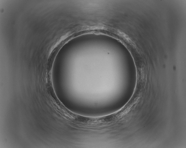 X0000070191165200605261150