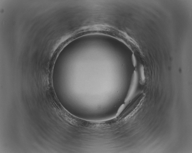 X0000070191166200605261150