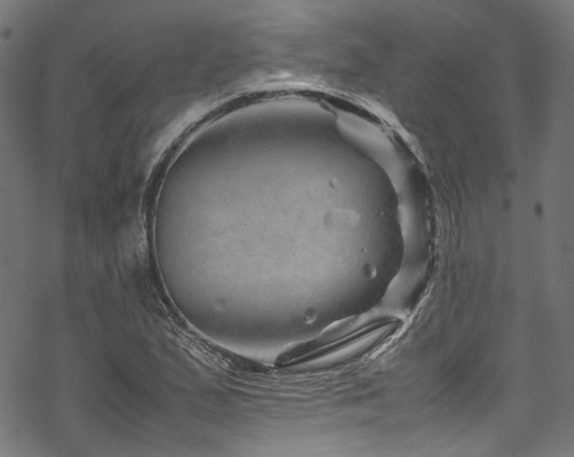 X0000070191167200605261150