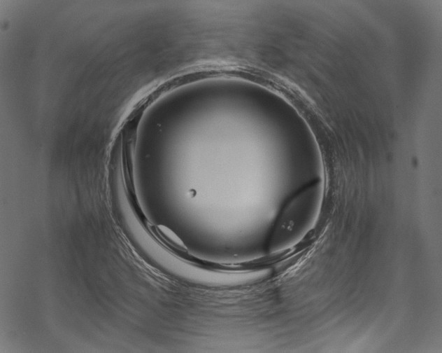 X0000070191168200605261150