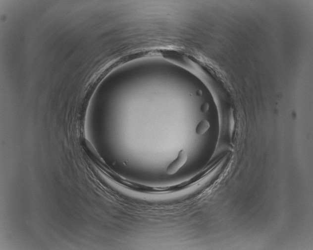 X0000070191169200605261150