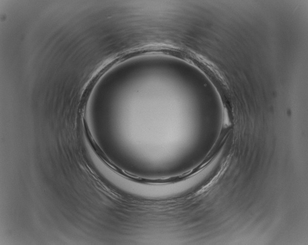 X0000070191170200605261150