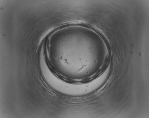 X0000070191171200605261150