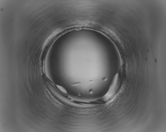 X0000070191172200605261150