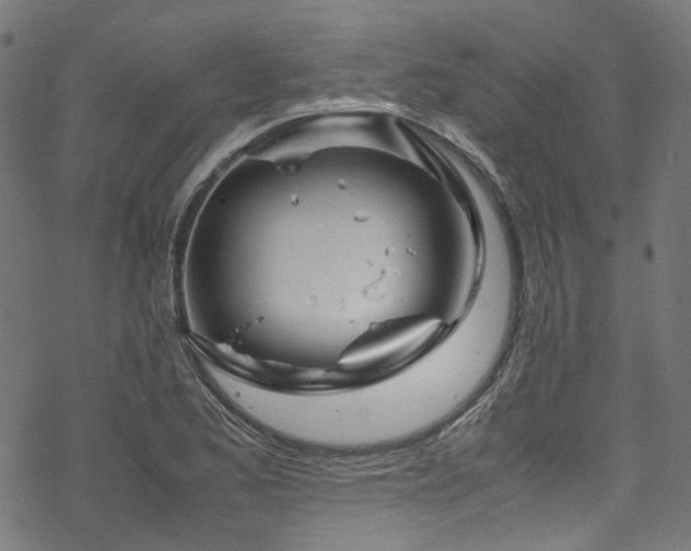 X0000070191173200605261150