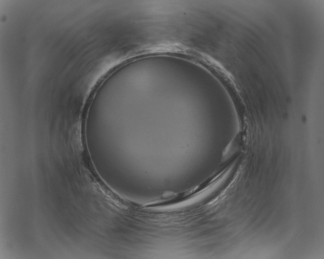 X0000070191174200605261150