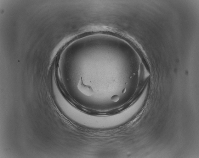 X0000070191175200605261150