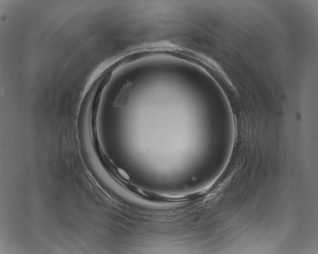 X0000070191176200605261150