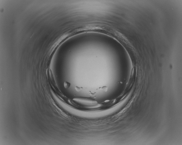 X0000070191177200605261150