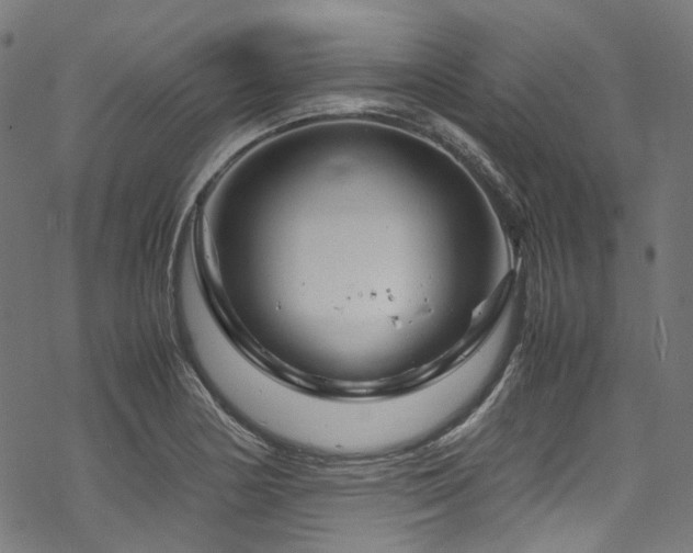 X0000070191178200605261150