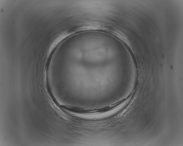 X0000070191179200605261150