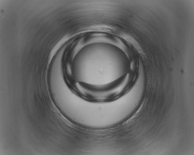 X0000070191180200605261150