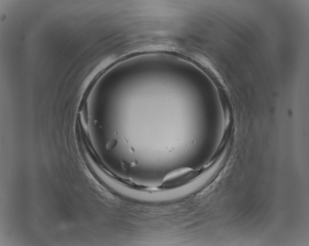 X0000070191181200605261150