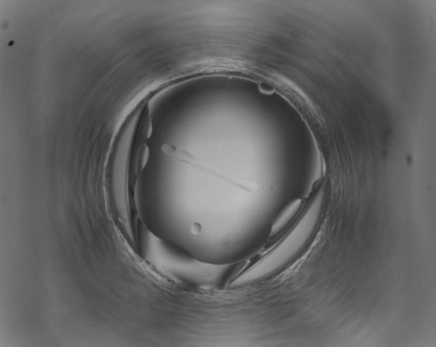 X0000070191182200605261150