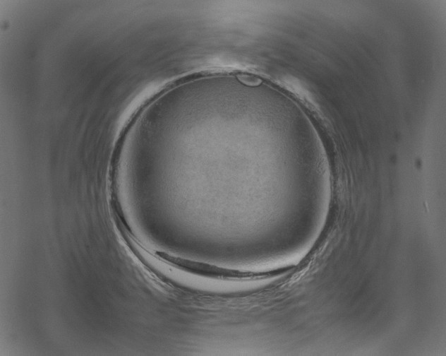 X0000070191183200605261150