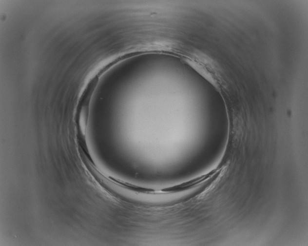 X0000070191184200605261150