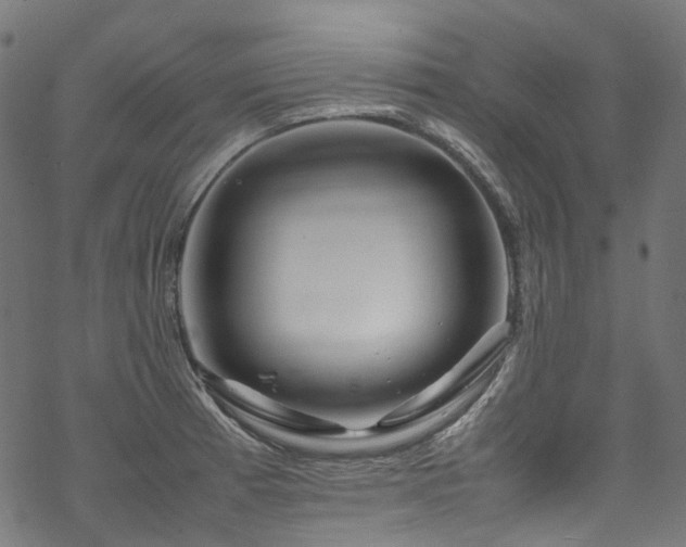 X0000070191185200605261150