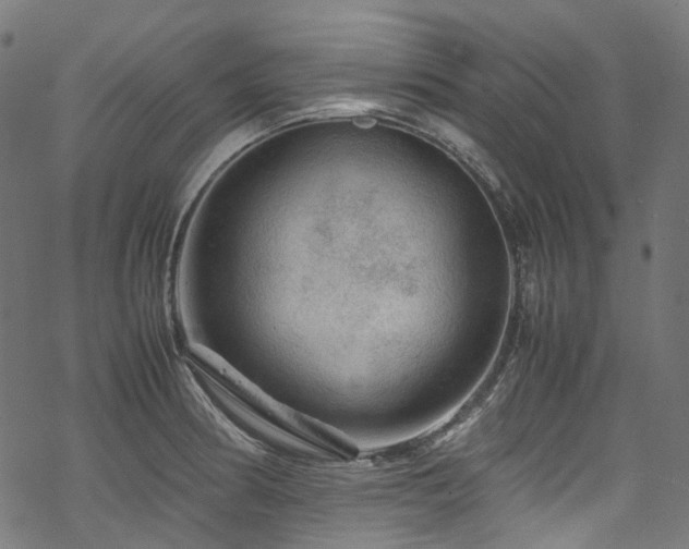 X0000070191186200605261150