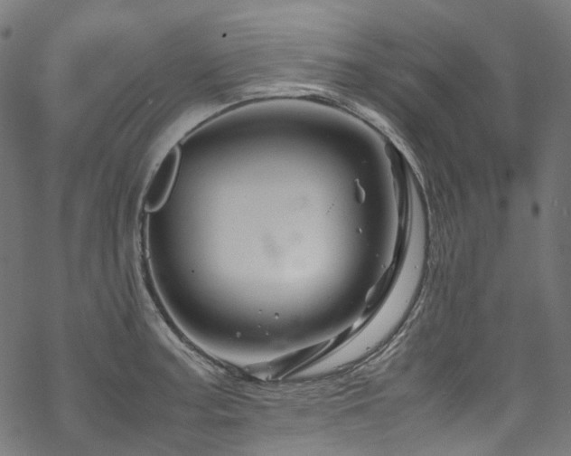 X0000070191187200605261150