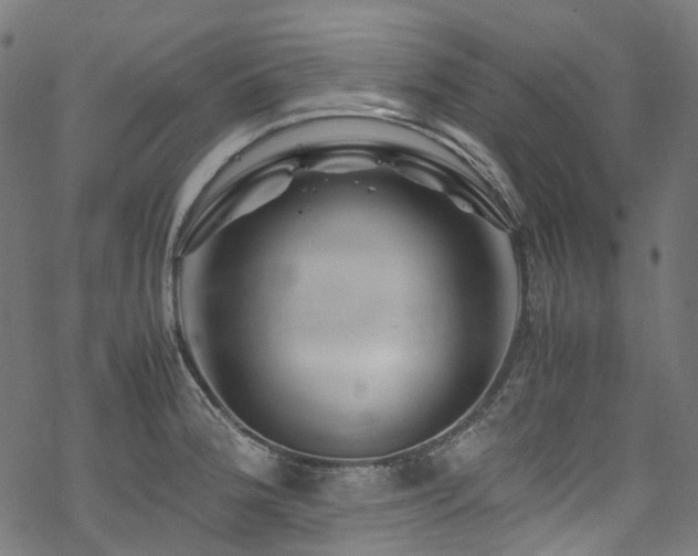 X0000070191188200605261150