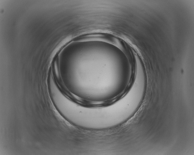 X0000070191189200605261150