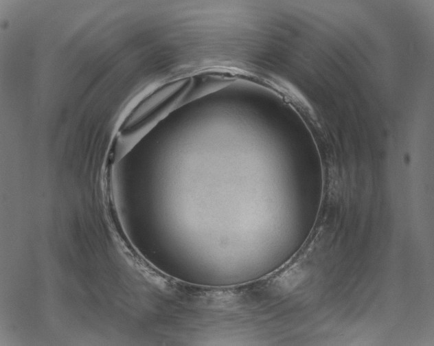 X0000070191190200605261150