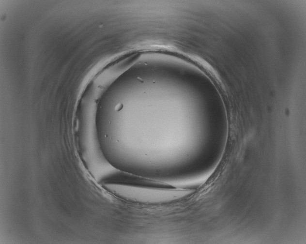 X0000070191191200605261150