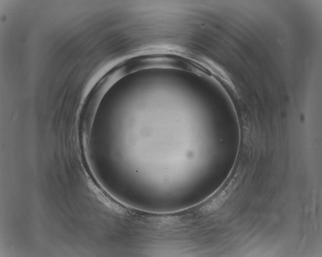 X0000070191192200605261150