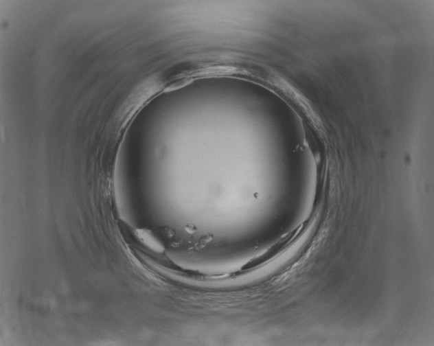 X0000070191193200605261150