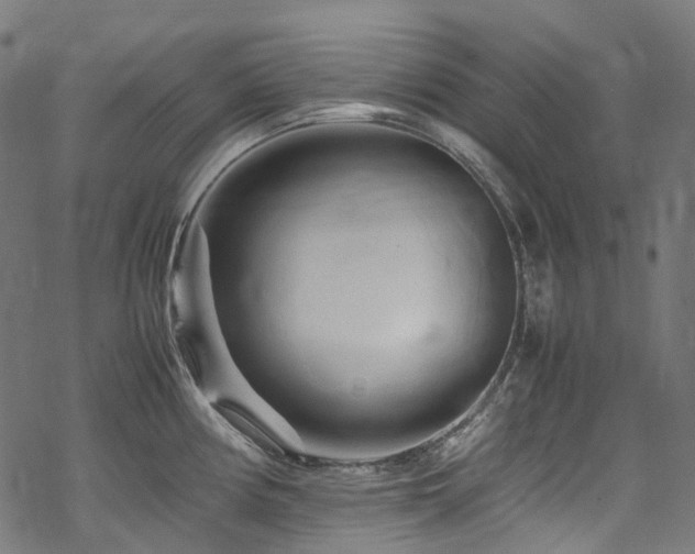 X0000070191194200605261150