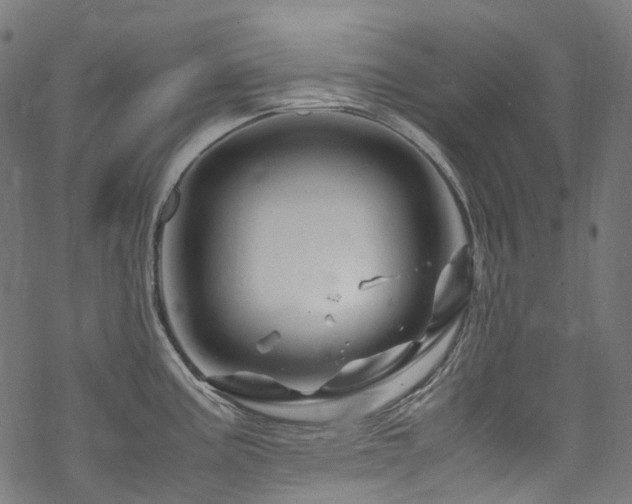 X0000070191195200605261150