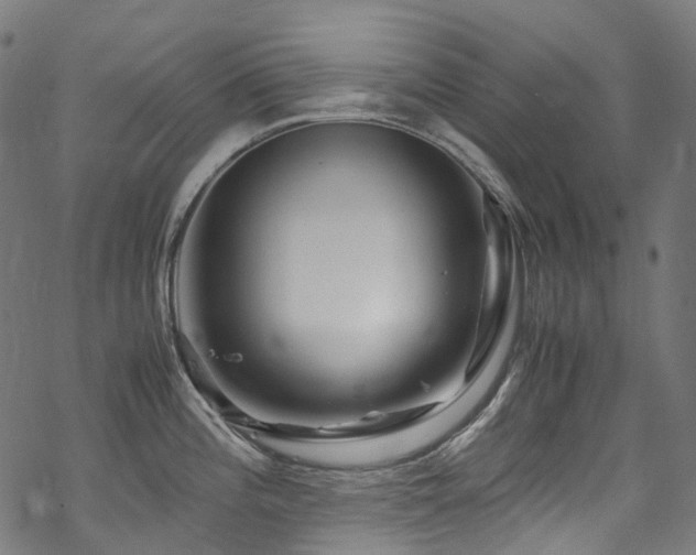 X0000070191196200605261150